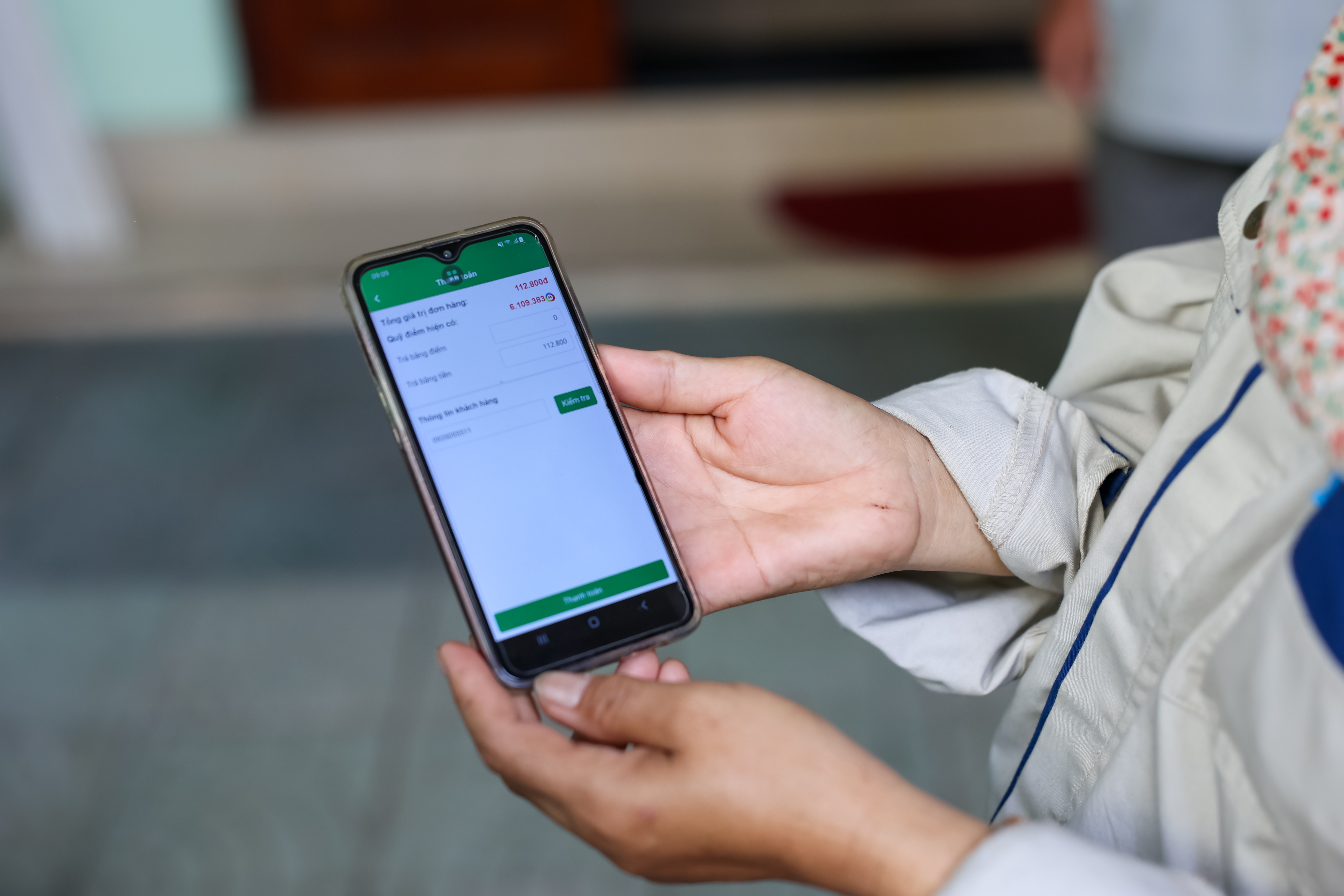 Tổng kết dự án MGreen, Huế